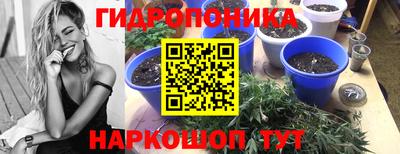apvp Краснокаменск