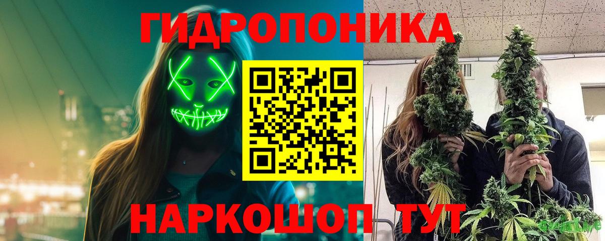 Марихуана VHQ  Бошки Шишки марихуана  Мценск  Вход с VPN  Каннабис White Widow 